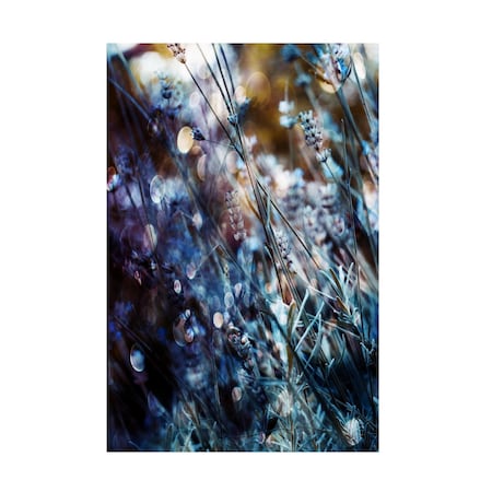 Delphine Devos 'Flowers Bubbles A Dreams' Canvas Art, 30x47